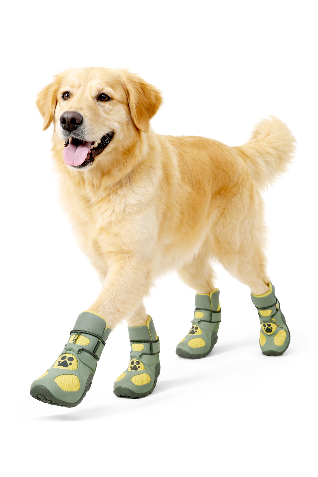 A clean orange Dogtires boot built to last